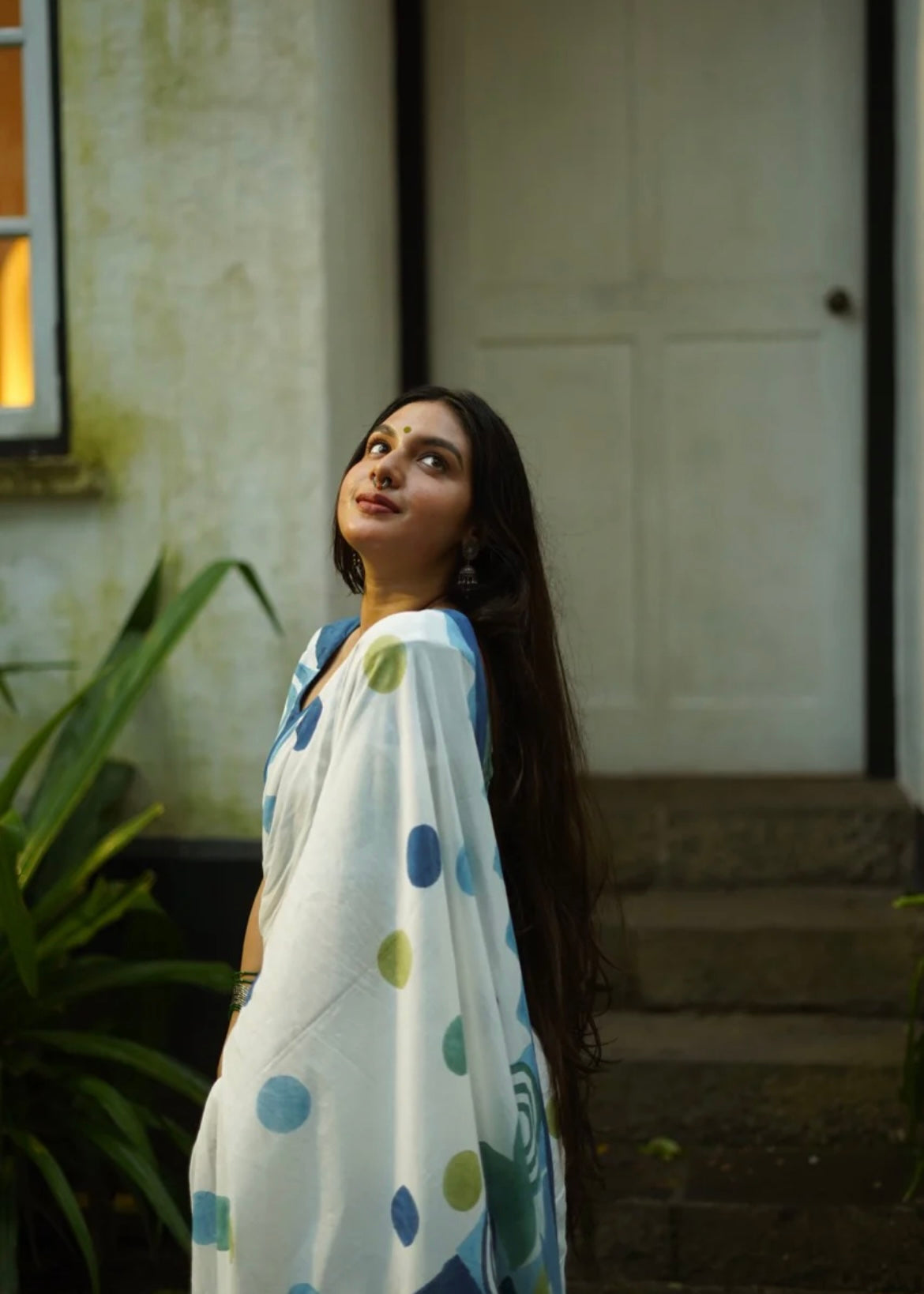 Pavani - polka