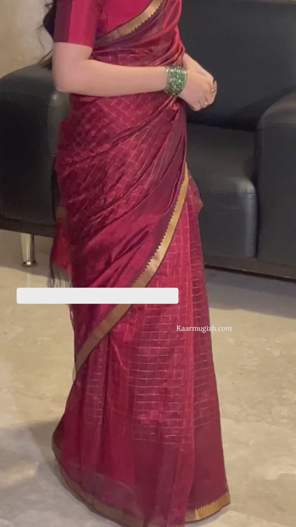 Damini01