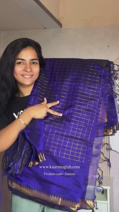 Damini01