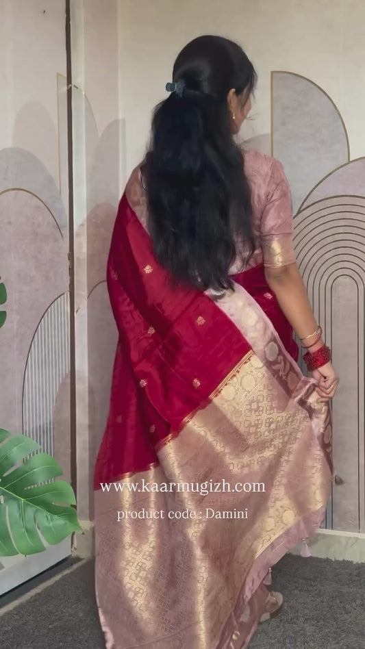 Damini